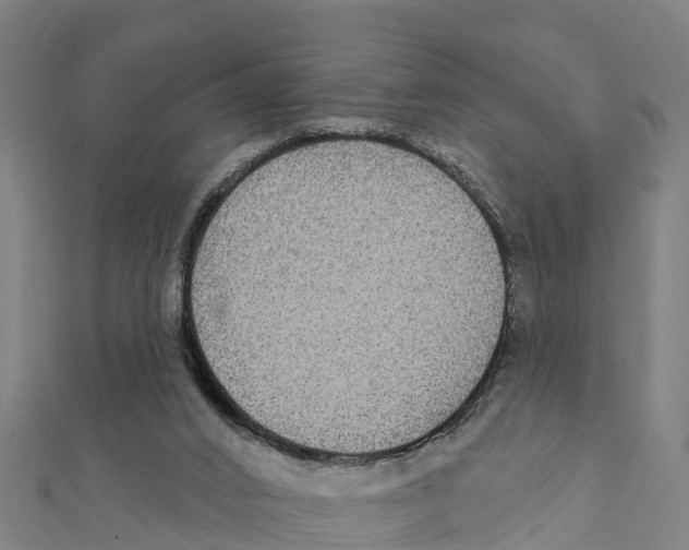 X0000111590016200908131351