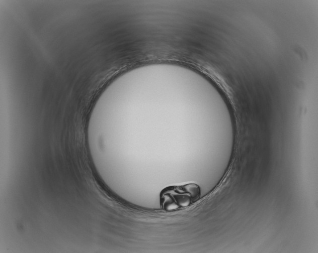 X0000111590017200908131351