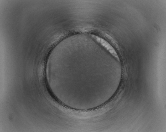 X0000111590018200908131351