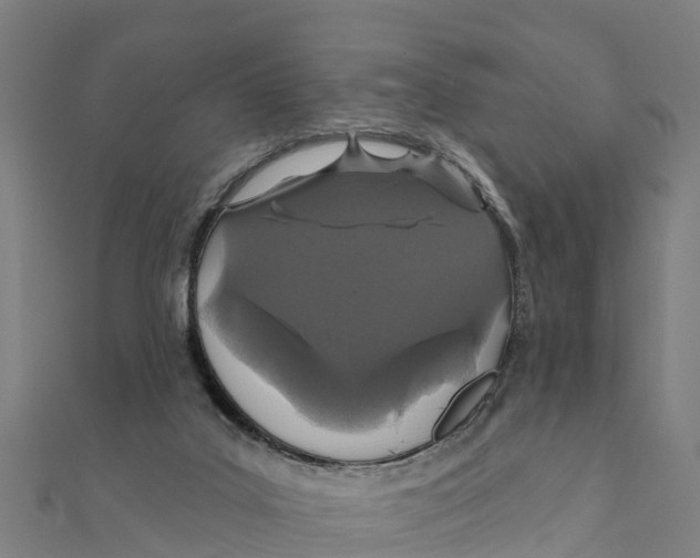 X0000111590019200908131351