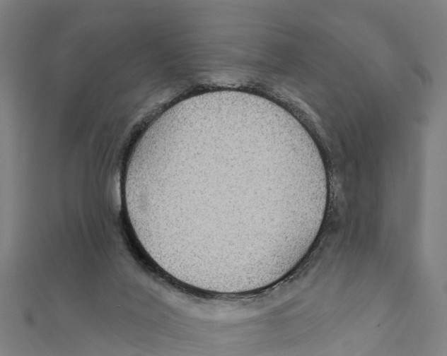 X0000111590020200908131351