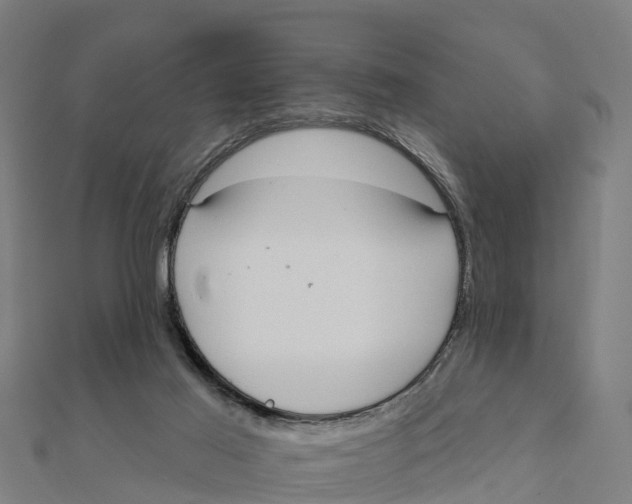 X0000111590021200908131351