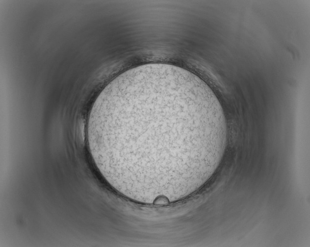 X0000111590022200908131351