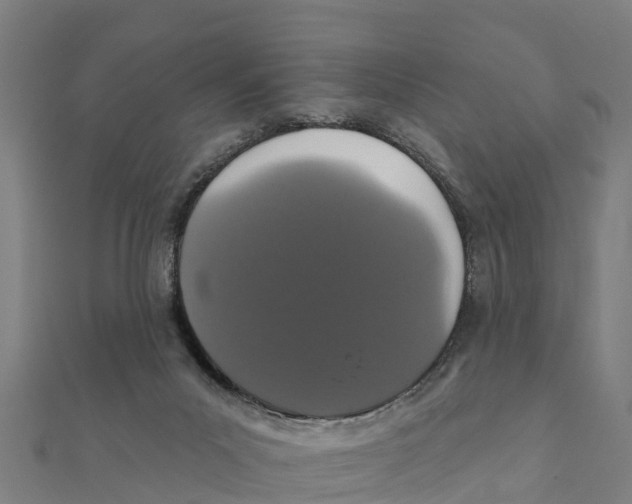 X0000111590023200908131351