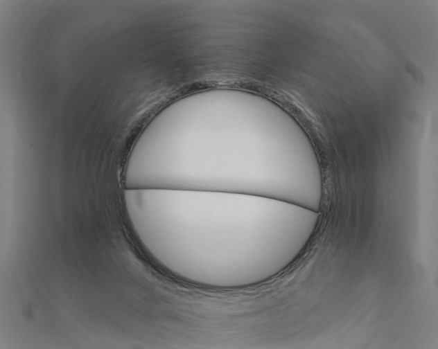 X0000111590024200908131351