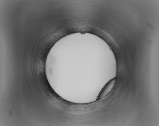 X0000111590025200908131351