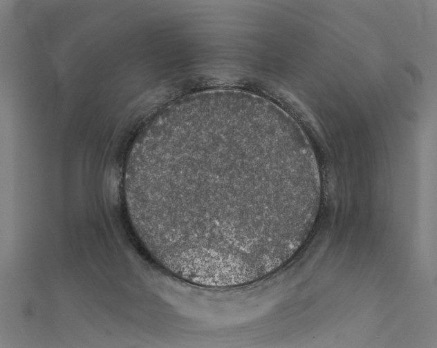 X0000111590026200908131351