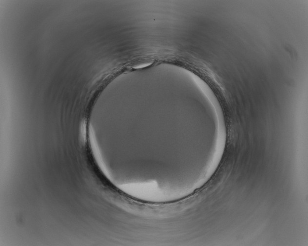 X0000111590027200908131351