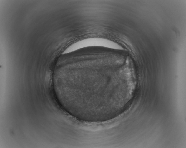 X0000111590029200908131350