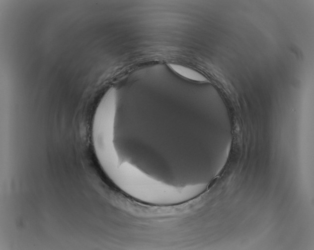 X0000111590031200908131350