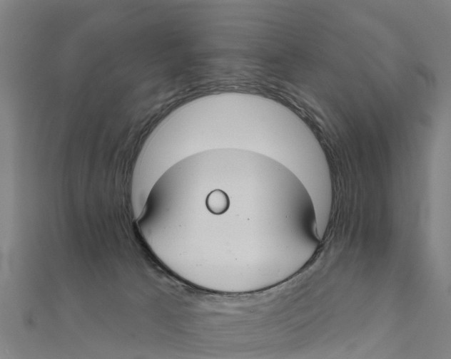 X0000111590033200908131350