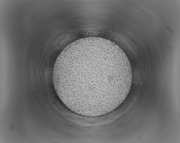 X0000111590034200908131350