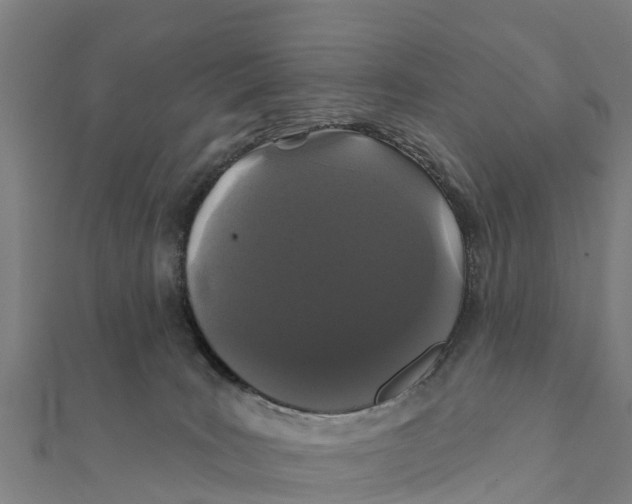 X0000111590035200908131350