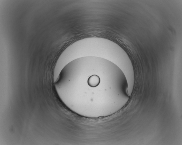 X0000111590037200908131350