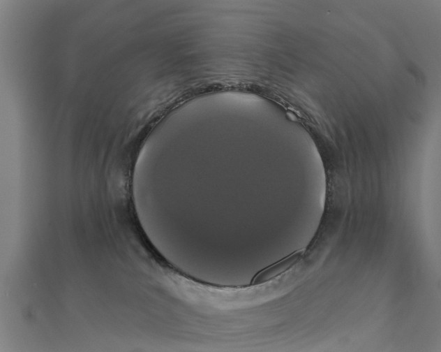 X0000111590039200908131350