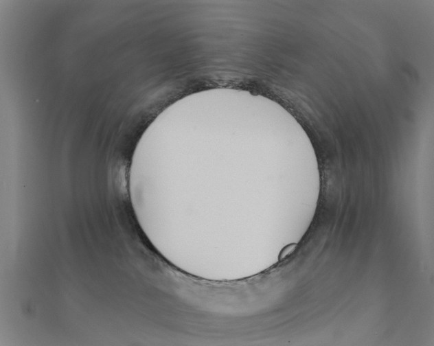 X0000111590042200908131350