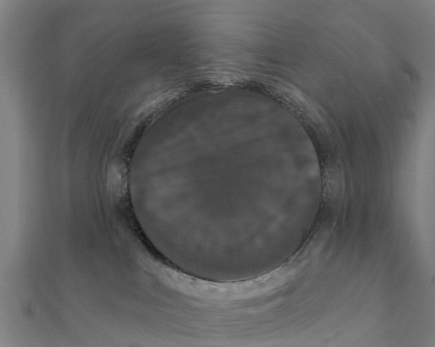 X0000111590043200908131350