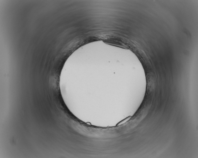 X0000111590044200908131350