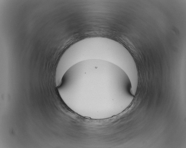 X0000111590045200908131350