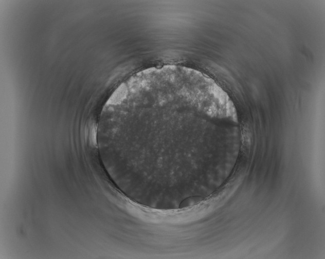 X0000111590046200908131350