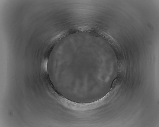 X0000111590047200908131350