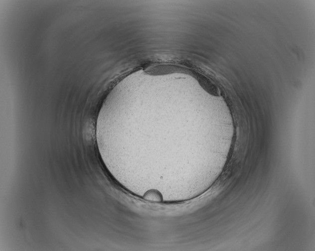 X0000111590048200908131350