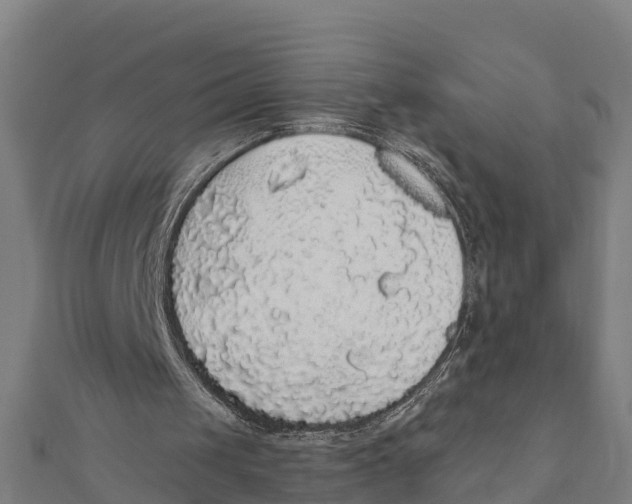 X0000111590049200908131349