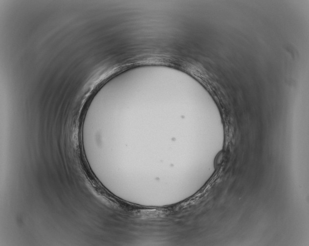X0000111590050200908131349