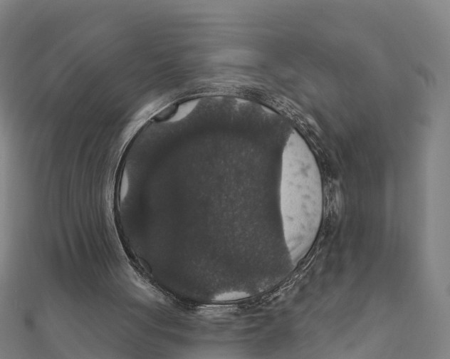 X0000111590051200908131349