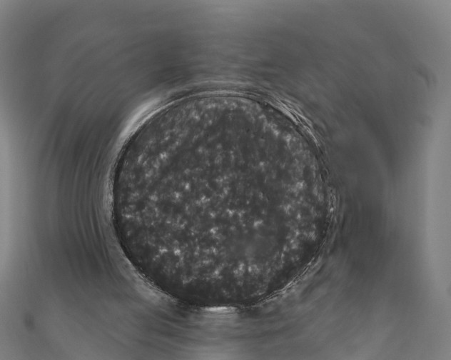 X0000111590053200908131350
