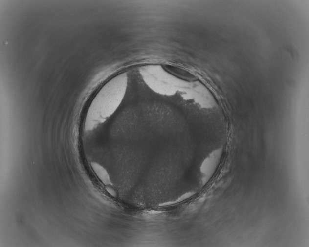 X0000111590055200908131350