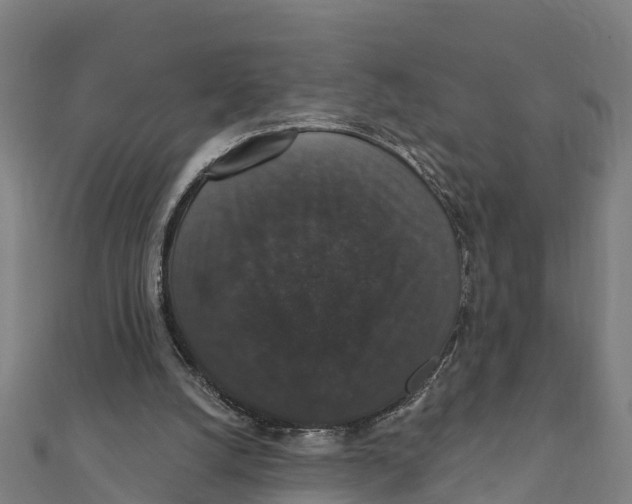 X0000111590056200908131350