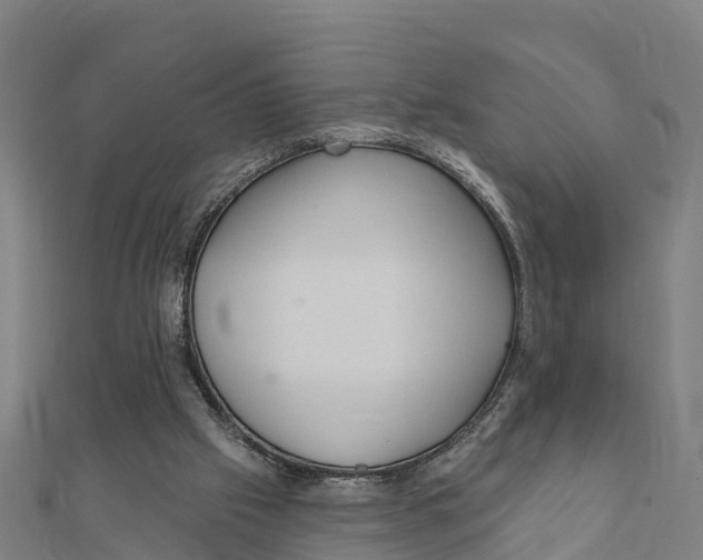 X0000111590057200908131350