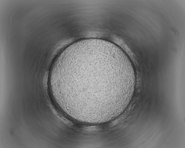 X0000111590058200908131350