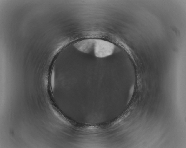 X0000111590059200908131350