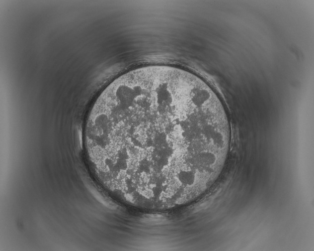 X0000111590061200908131350