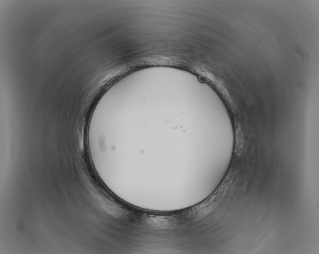 X0000111590062200908131350