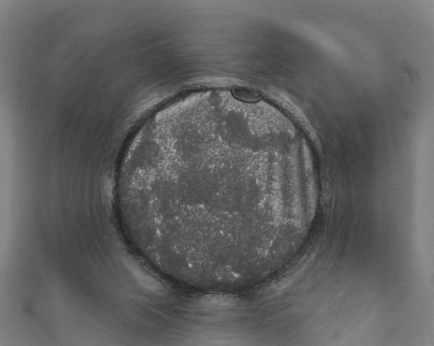 X0000111590063200908131350