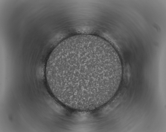 X0000111590065200908131350