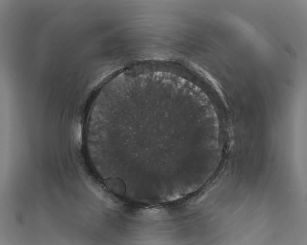 X0000111590067200908131350