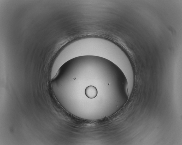 X0000111590068200908131350
