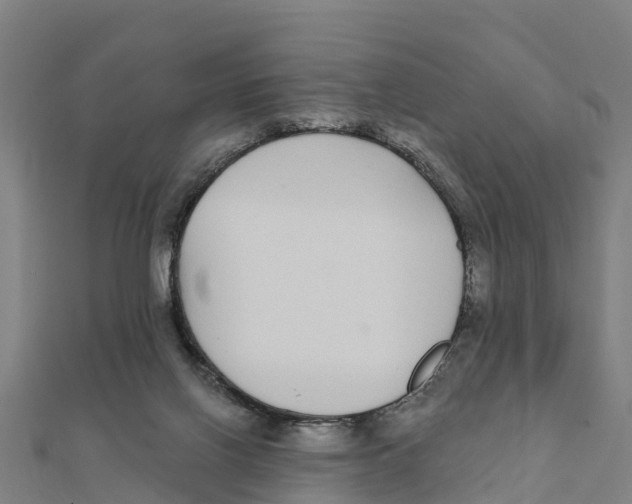 X0000111590070200908131350