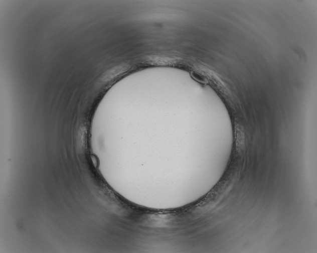 X0000111590071200908131350
