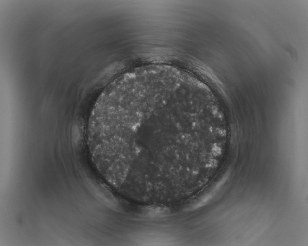 X0000111590073200908131350