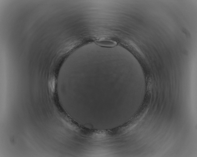 X0000111590076200908131350