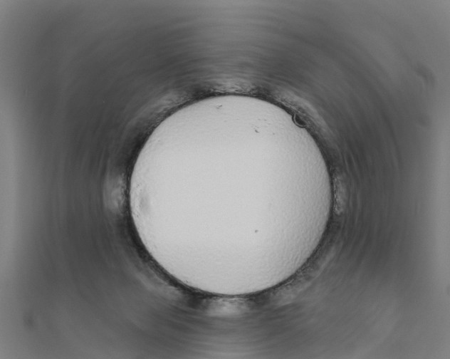 X0000111590077200908131350