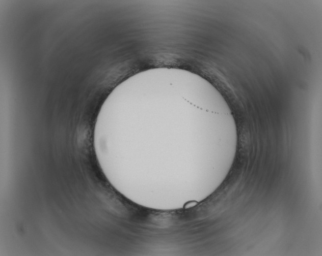 X0000111590079200908131350