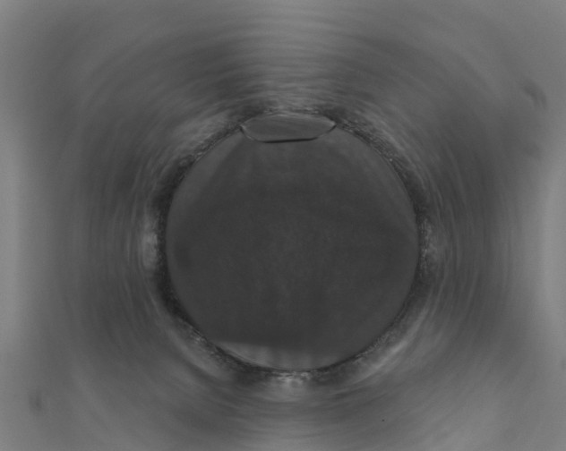 X0000111590080200908131350