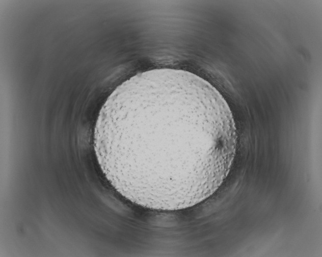 X0000111590081200908131350