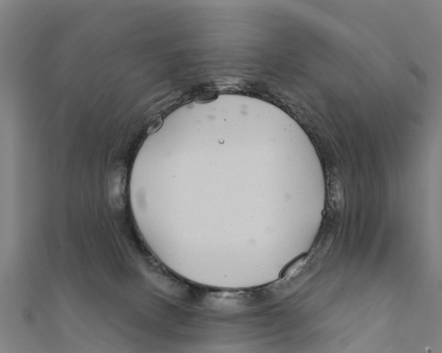 X0000111590082200908131350
